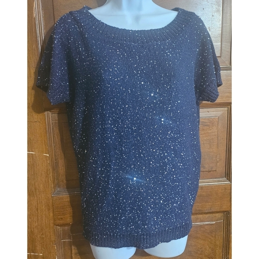 Express Short Sleeve Sequin Sweater